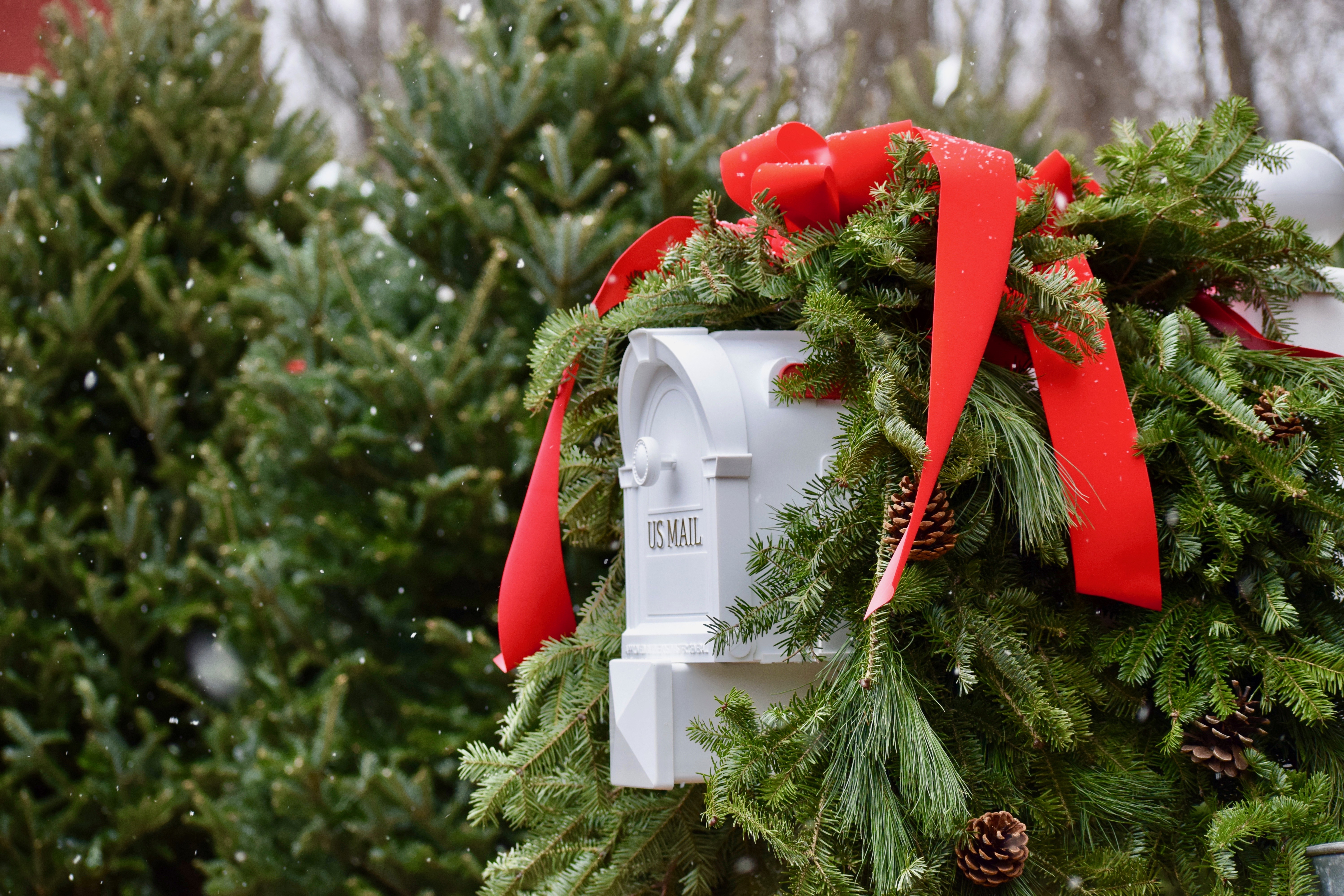 Mailbox Wreath Hidden Pond Tree Farm